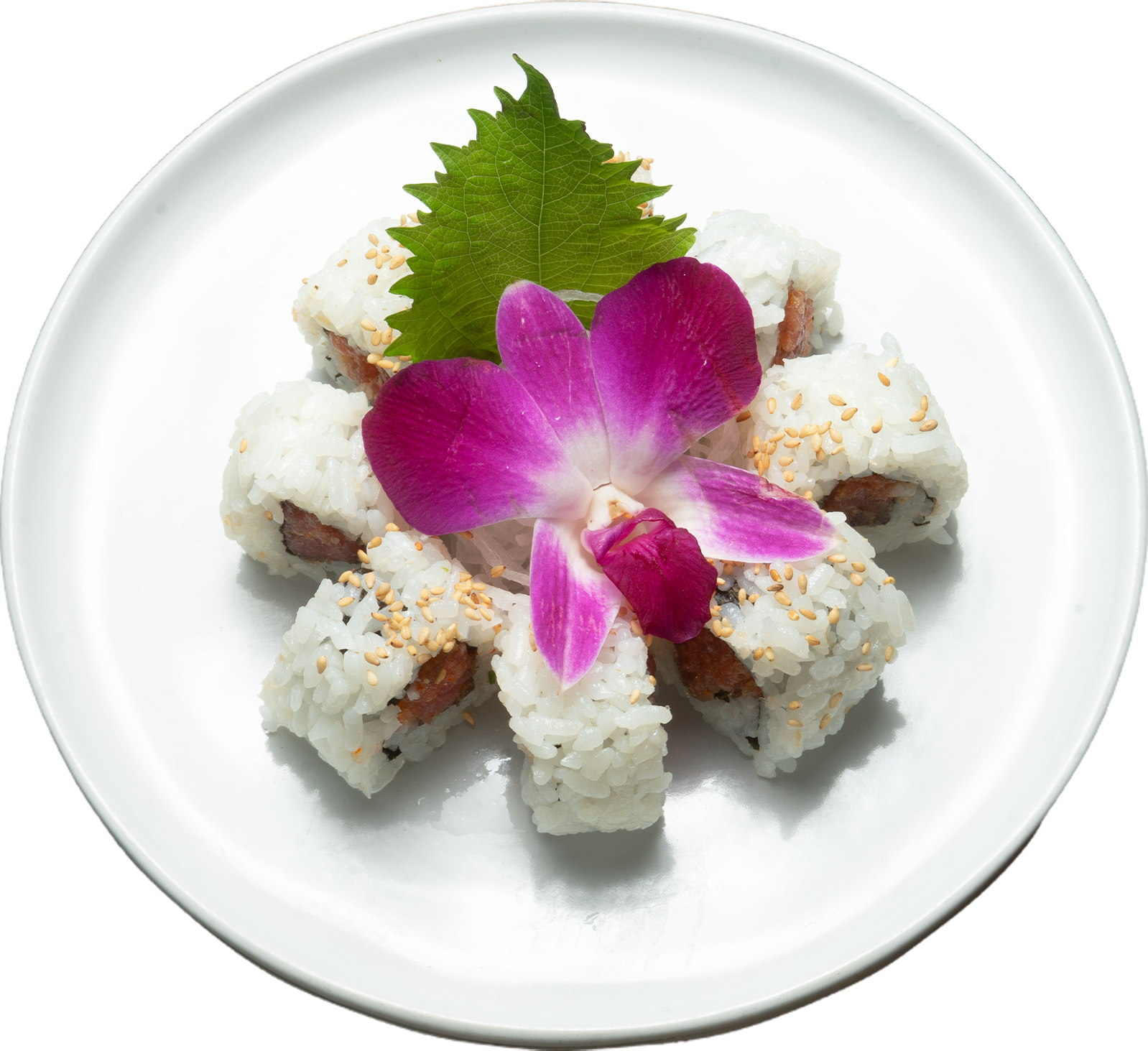 Spicy Tuna Roll